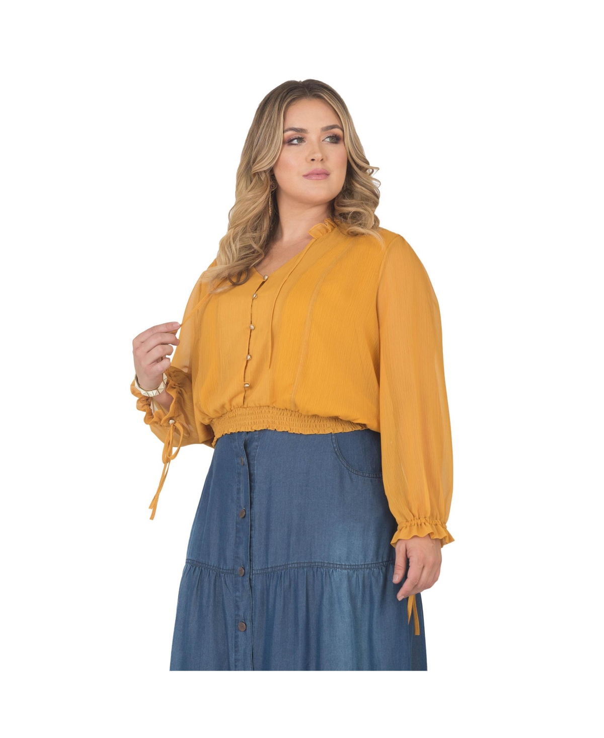 Standards & Practices Plus Size Long Bishop Tie Sleeve Chiffon Blouse