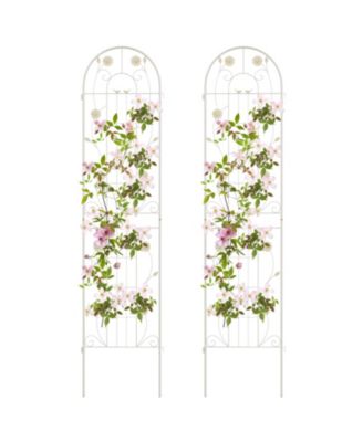 2 Pack 86.5 x 20 Inches Metal Garden Trellis for Climbing Plants