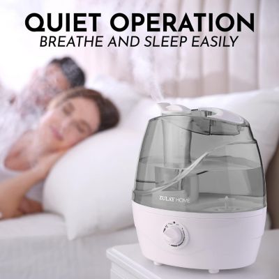 0.66-Gallon, 2.5 Liter Cool Mist Ultrasonic Humidifier for Home