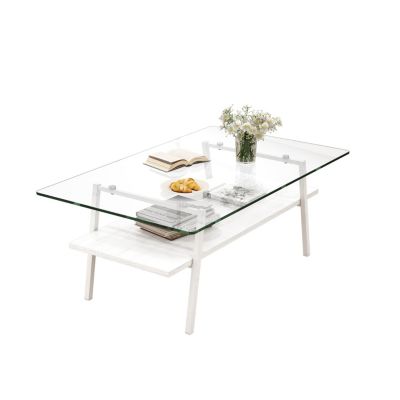 Metal and Glass Coffee Table