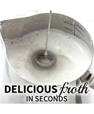 Upgraded Holster Stand Double Whisk Milk Frother