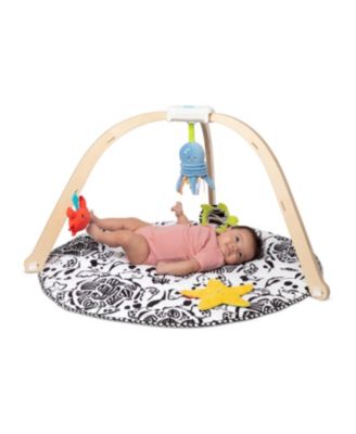 Ocean Easy-Fold Play Gym