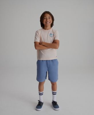 Levis Big Boys Scenic Summer Tee and Skinny Fit Dobby Shorts