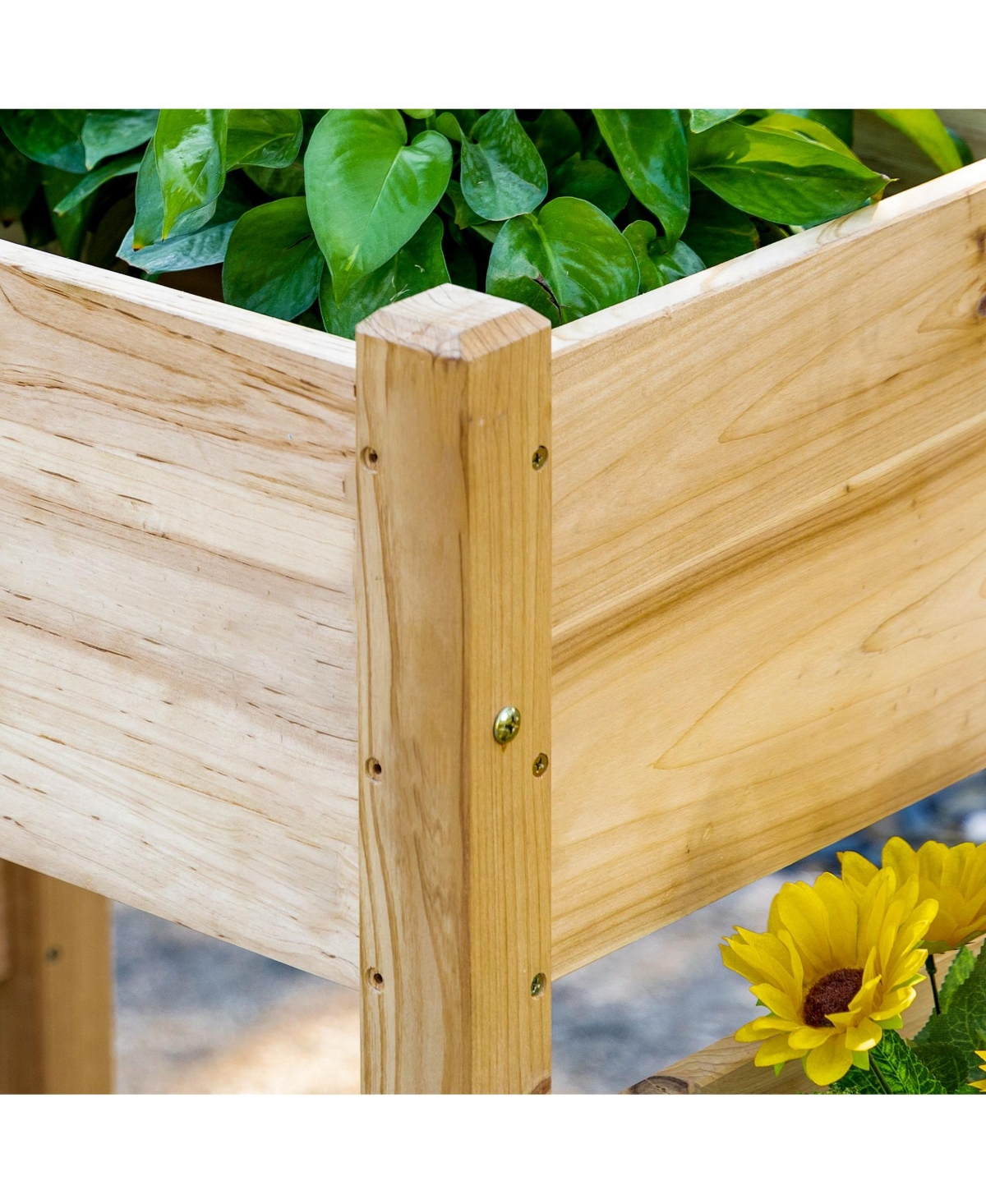 Streamdale Furniture Elevated 2-Tiered Fir Wood Garden Bed with Drainage Holes (72.5