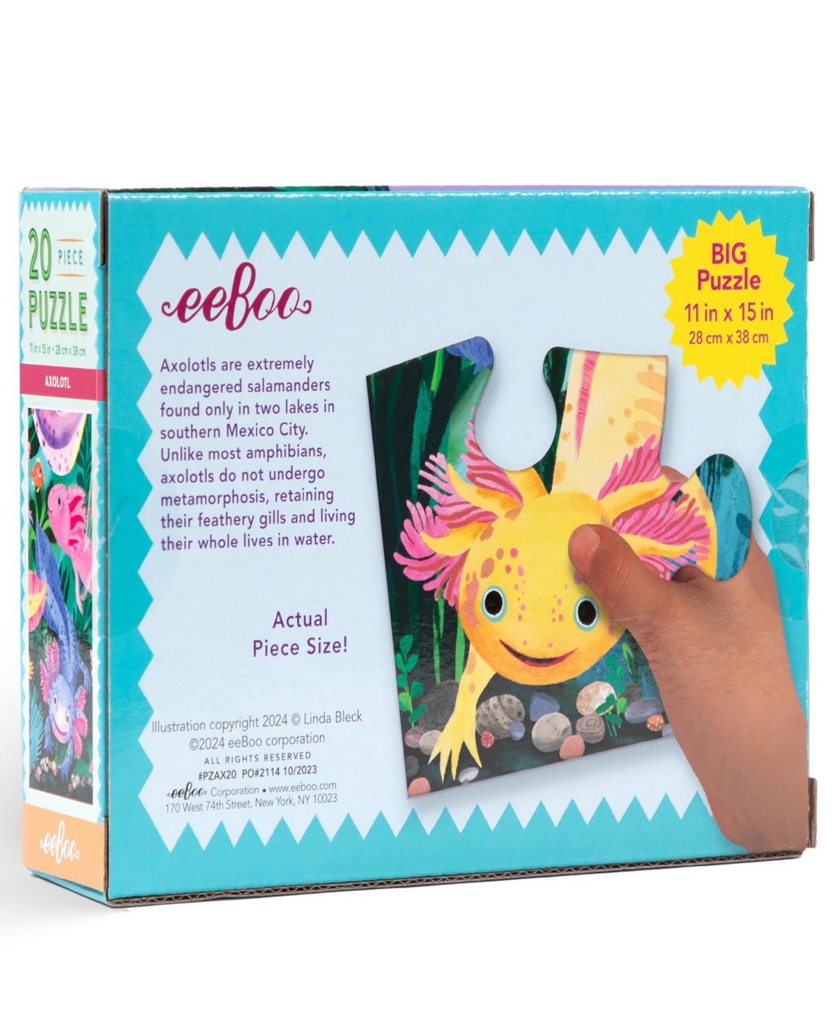 Eeboo Ready To Grow Life On Earth Axolotl Puzzle Set In Multi