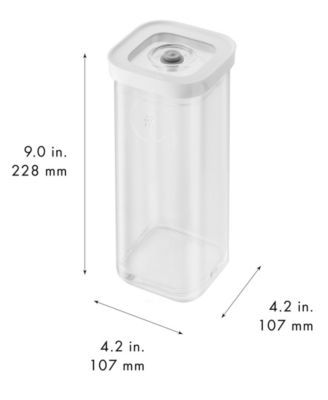 Fresh Save Cube 2-pack Containers