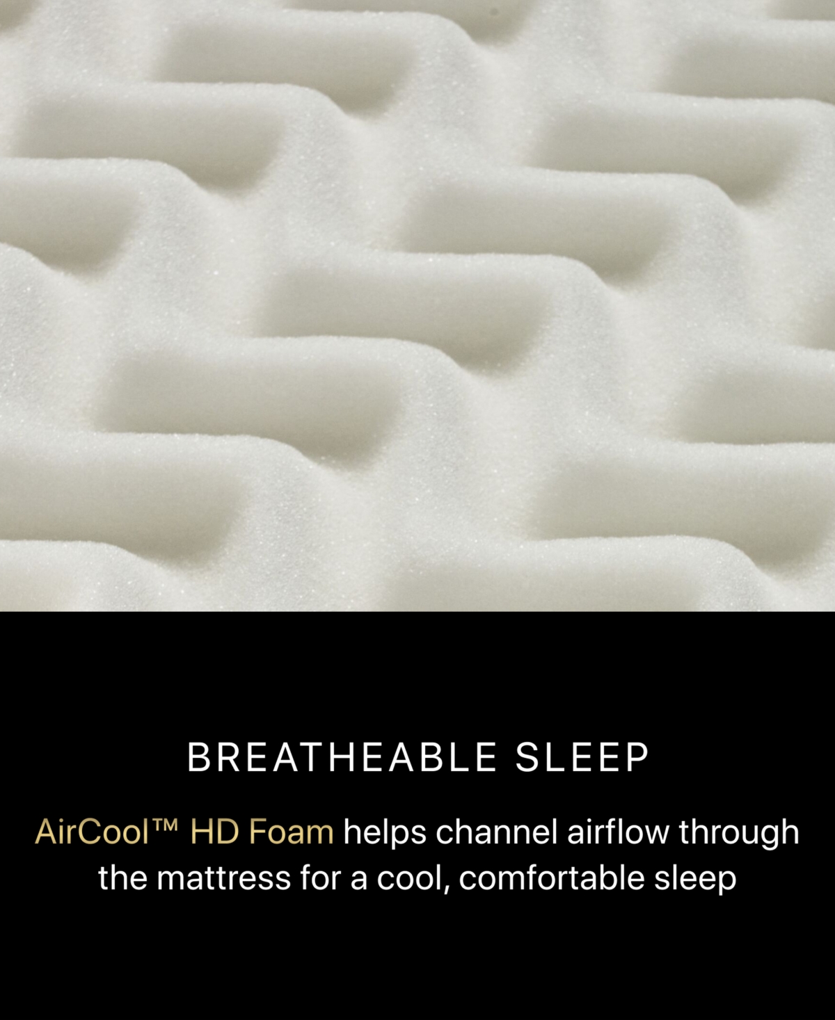 Beautyrest Black Series One 14.25" Medium Mattress In No Color