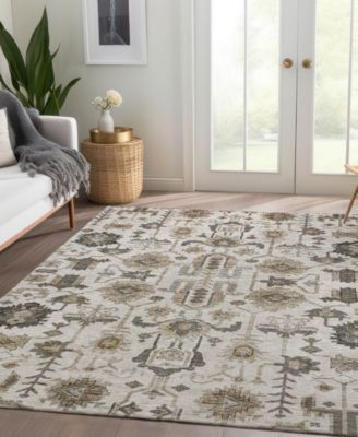Chantille Machine Washable ACN697 9'x12' Area Rug