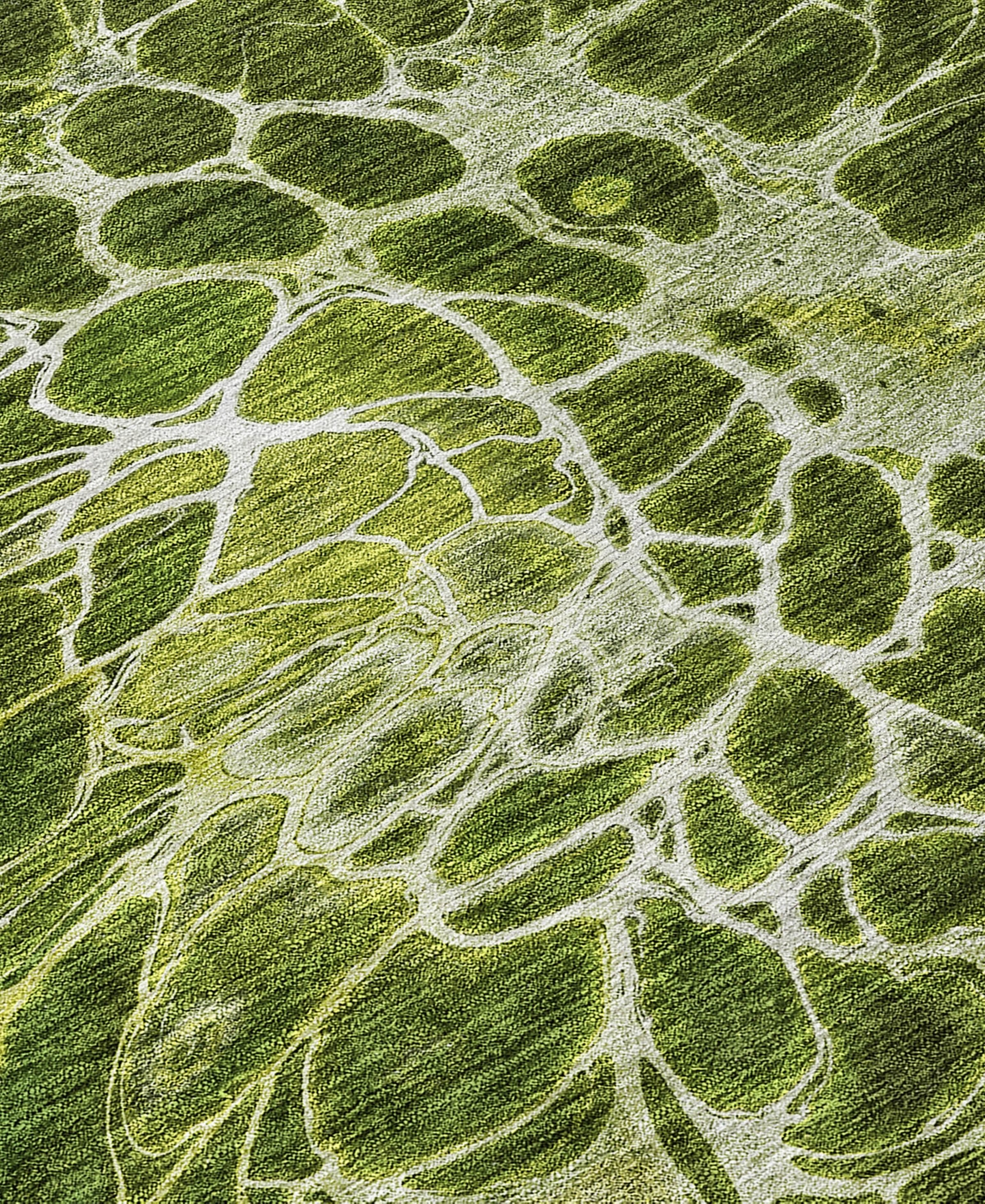 Addison Chantille Acn652 9'x12' Area Rug In Olive