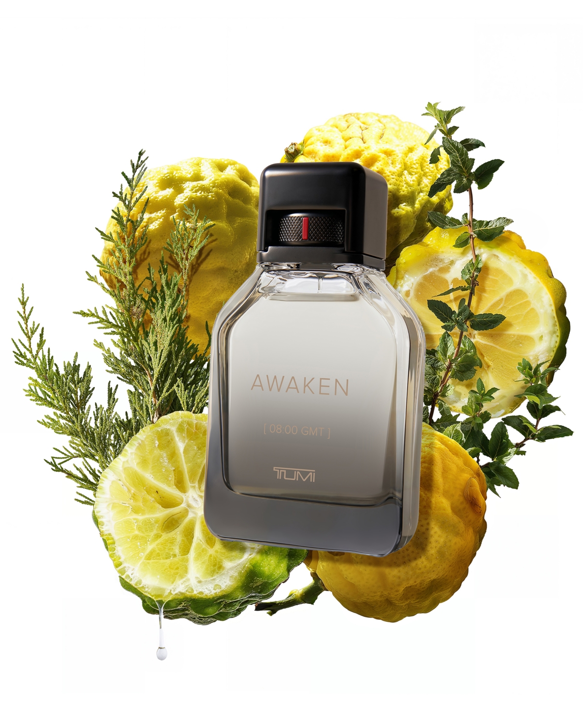 Tumi Men's Awaken [08:00 Gmt] Hair & Body Shower Gel, 8 Oz. In No Color