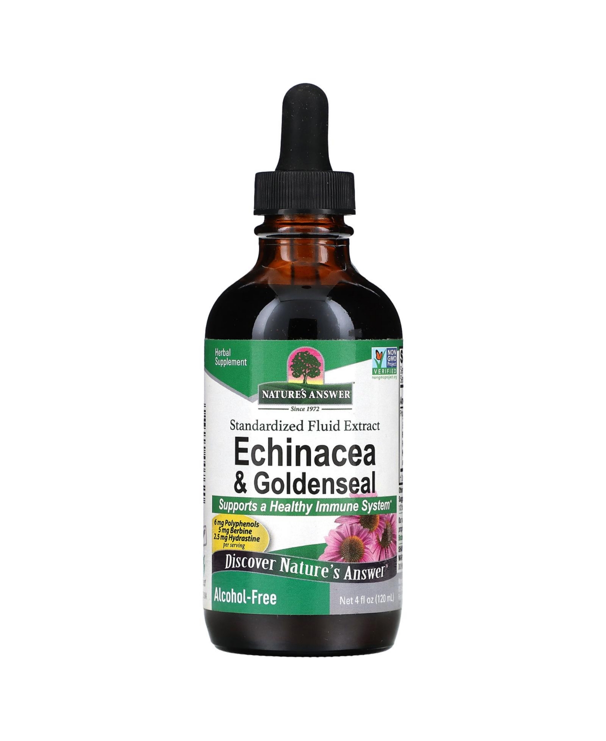 Echinacea & Goldenseal Alcohol-Free - 4 fl oz (120 ml)