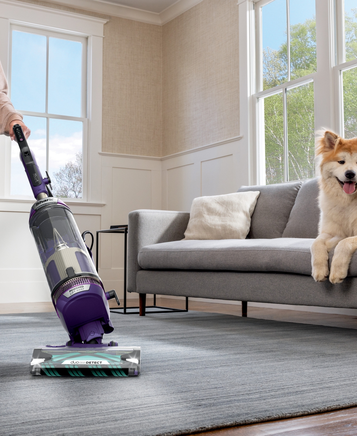 Shark Powerdetect Upright Bagless Vacuum With Ultimate Cleaning Tools In No Color