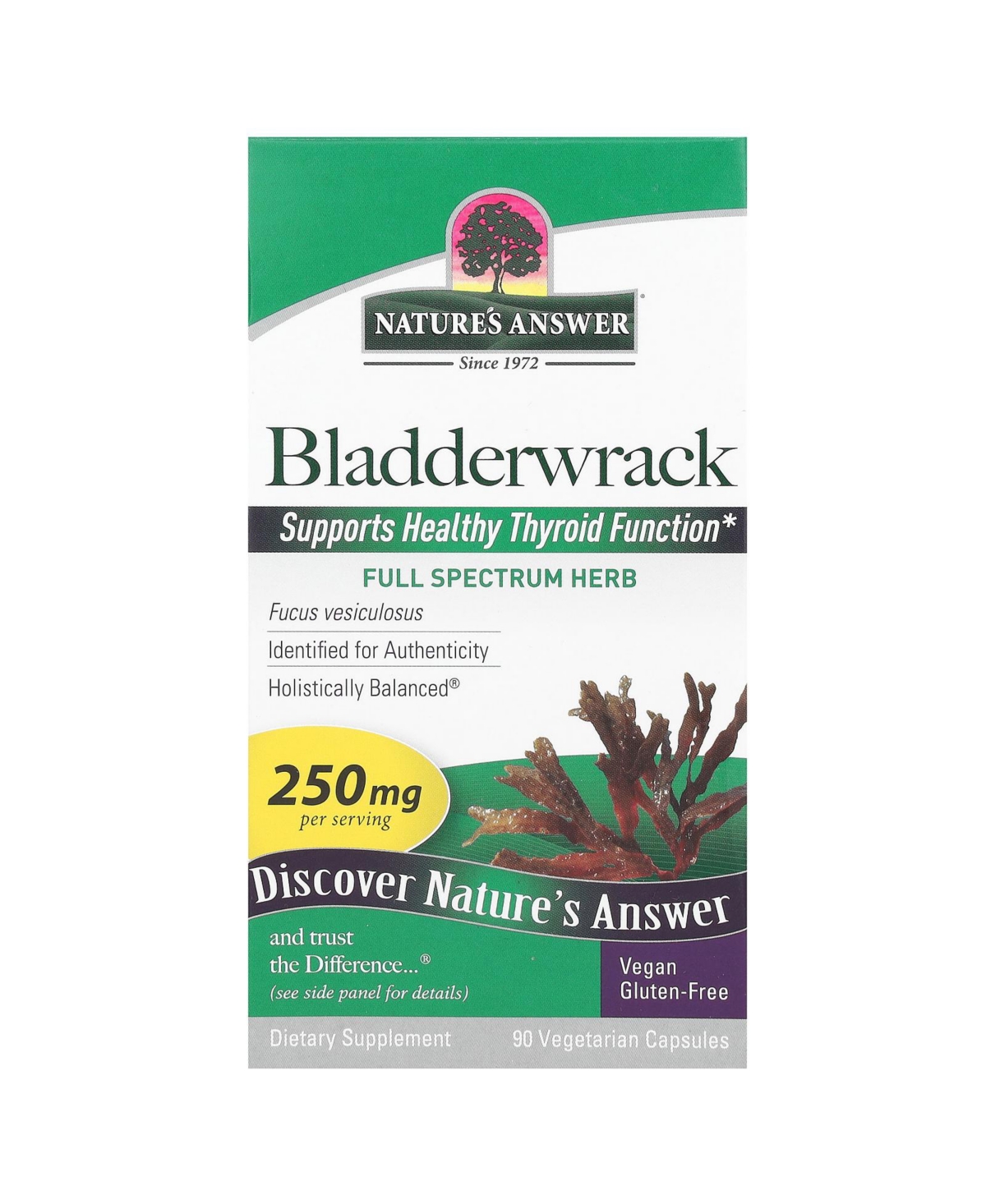 Bladderwrack 250 mg - 90 Vegetarian Capsules