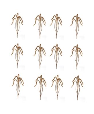 Set of 12 Amaranthus Stems for Decorative Arrangements