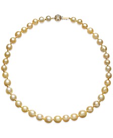 Golden South Sea Cultured Pearl Necklace (8-10mm) in 14k Gold 