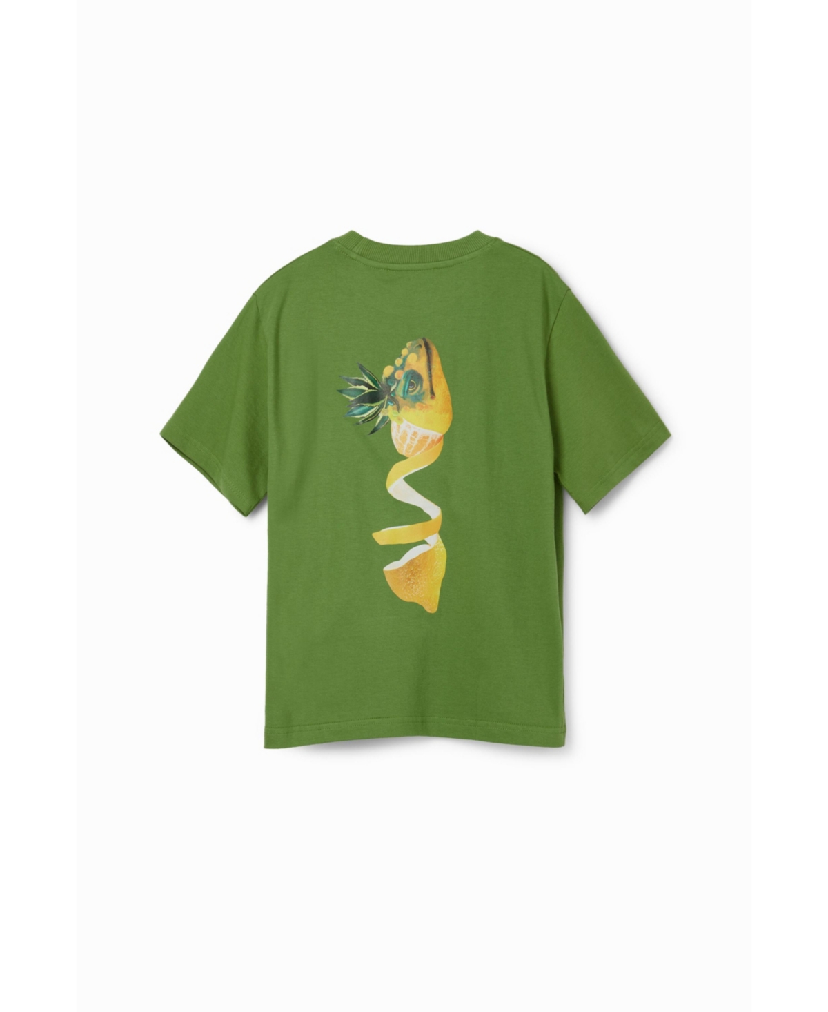 Desigual Boys Boys's Lemon reptile T-shirt