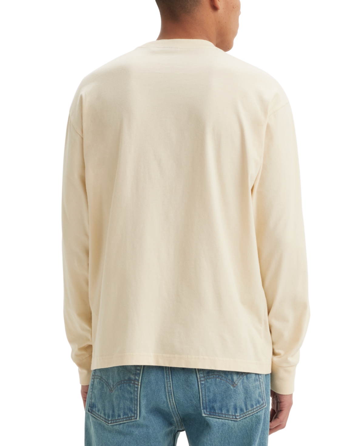 Levi's Men's Relaxed Fit Long Sleeve Prism Graphic Skateboard T-Shirt
