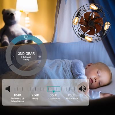 Modern Low Profile Caged Ceiling Fan With Light