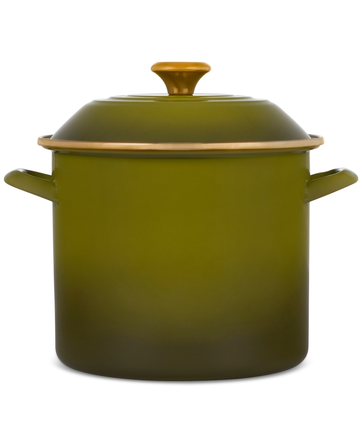 Le Creuset 10-quart Enameled Stainless Steel Stock Pot In Olive