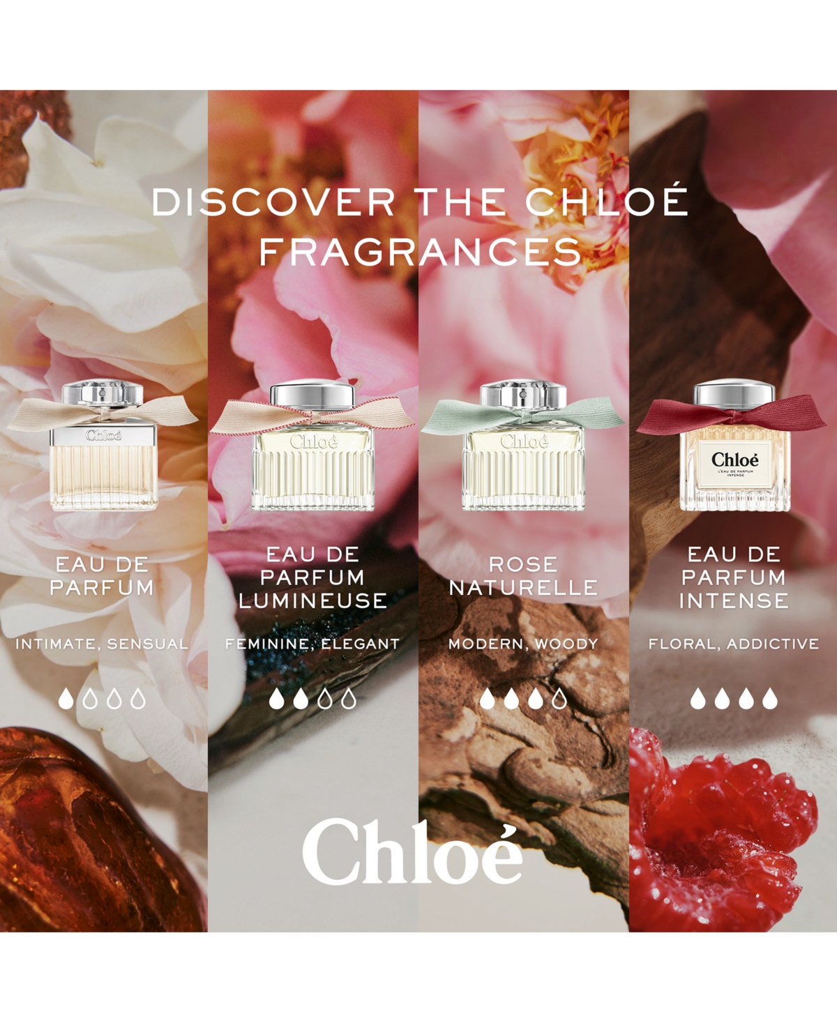 Chloé Chloe Chloe L'eau De Parfum Intense Edp 3.3 oz Fragrances 3616303445584 In No Color