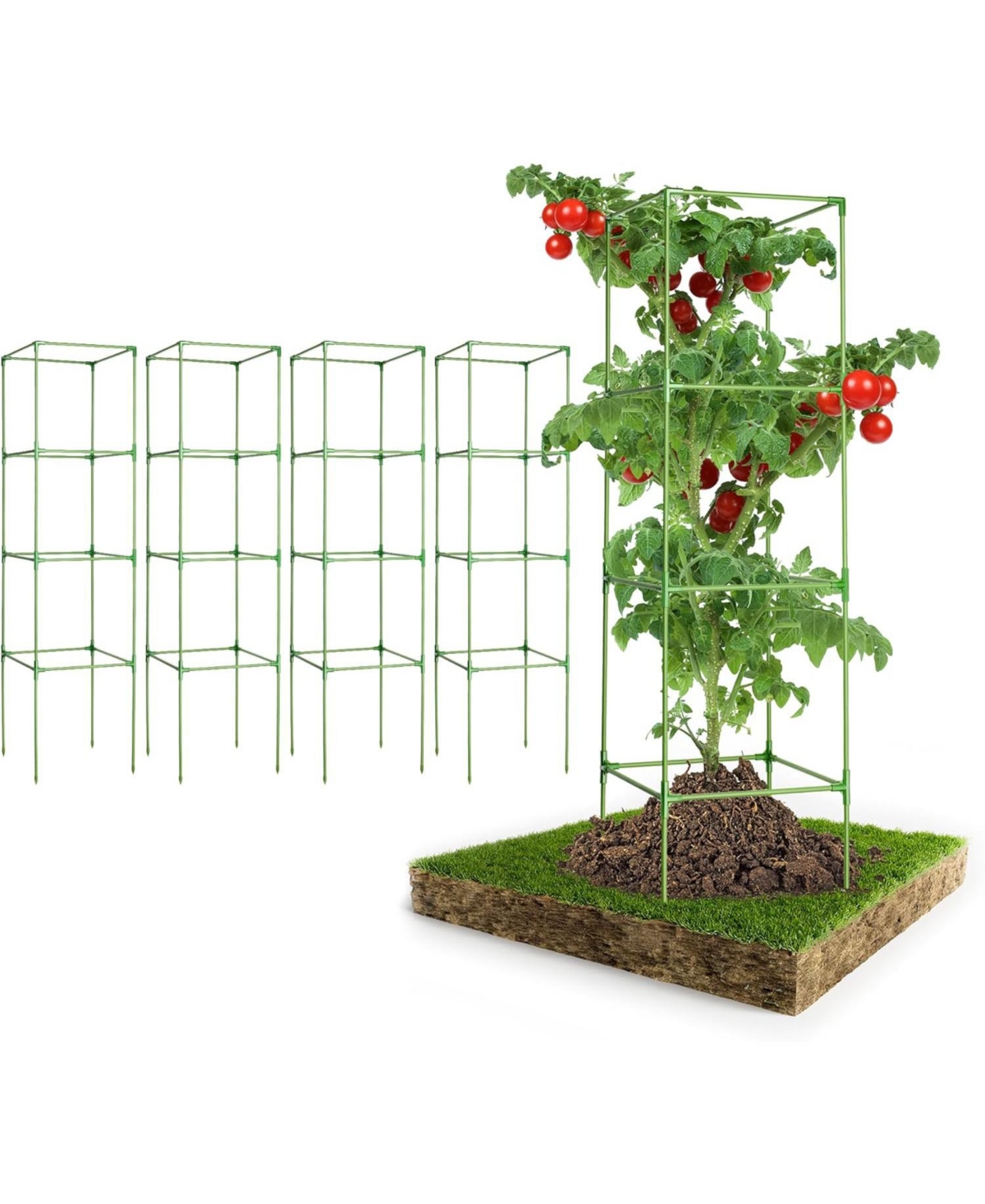Tomato Plant Support Cages - Green