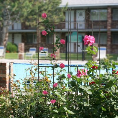 4 Pack 71" Rustproof Trellises for Climbing Plants