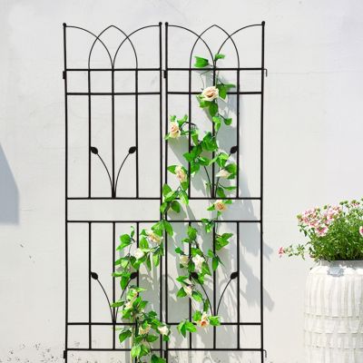 2 Pack 71" Rustproof Metal Trellises for Climbing Plants