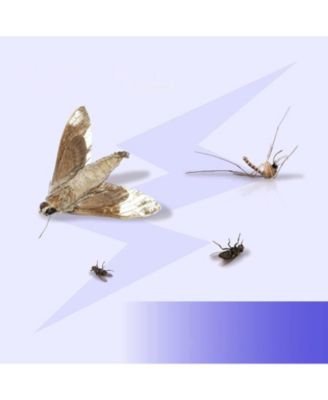 Electric Bug Zapper 2-Pack Indoor Insect Killer with Extra Bulbs Fly and Mosquito Repellent