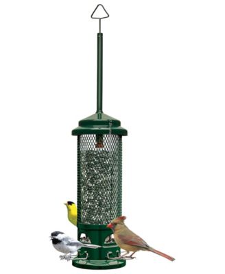 Legacy Squirrel-proof Bird Feeder 2.6lb Seed Capacity