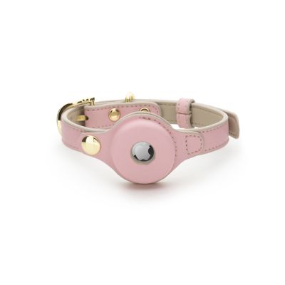 Dog Collar Cupertino Air Tag Enabled