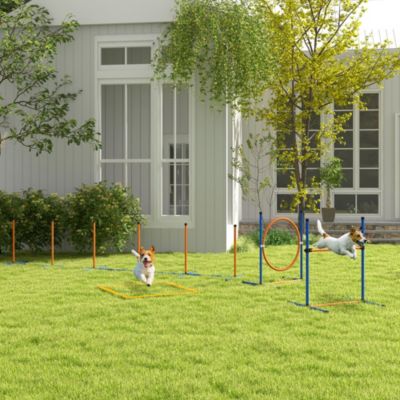Dog Agility Training Equipment W/ Weave Poles, Adjustable Hurdle