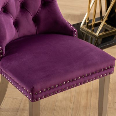Streamdale Nikki Collection 2-Piece Purple Velvet Dining Chairs