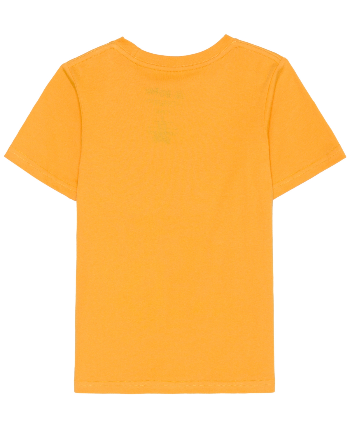 Harry Potter Toddler and Little Boys Short Sleeve Graphic T-shirt