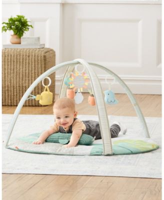 Garden Oasis Activity Gym