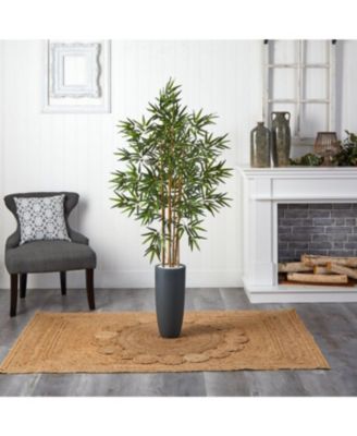 Cane Tree in Cylinder Planter – Sleek Indoor/Outdoor Plant for Modern Decor