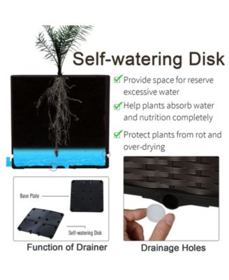 Elevated Self-Watering Raised Garden Bed for Plants & Veggies