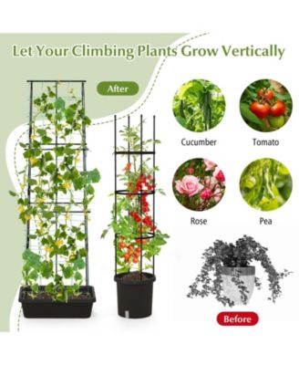 2 Pack Garden Planters with Trellis Cucumber Trellis Tomato Cage