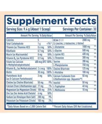 Native Hydrate, Zero Sugar, Electrolytes Powder with BCAAs, Tangerine Hydration, Keto & Paleo Friendly, 30 Servings