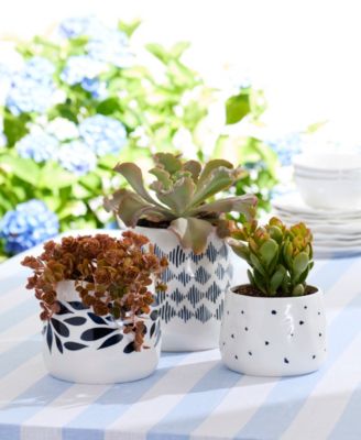 Blue Bay 3-Piece Kitchen Canister Set with Wood Lid