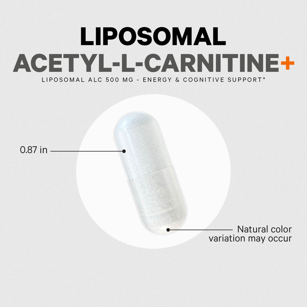 Codeage Liposomal Acetyl-l-Carnitine+ Supplement - 500 mg Acetyl-l-Carnitine per Serving - 3-Month Supply, Liposomal Delivery - Alcar Supplement - L-C