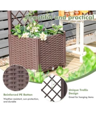 Raised Garden Bed with Trellis Planter Box for Climbing Plants