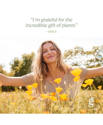 Plant Force Liquid Iron - Vegetarian Iron Supplement to Help Maintain Healthy Iron & Energy Levels - With Star Anise, Sea Buckthorn, Beet Root, Dandelion & Nettle - 8.5 Fl Oz (25 Servings)