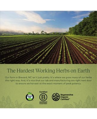 Adrenal Health Daily Support - With Ashwagandha, Holy Basil & Schisandra - Herbal Supplement to Help Maintain Healthy Energy and Stress Levels - 120 Liquid Phyto-Capsules (120 Count)