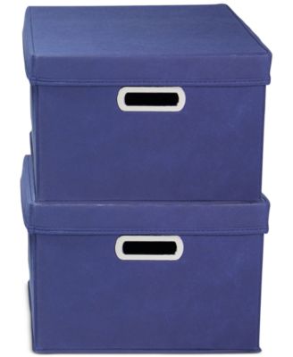 Storage Bins with Lids and Chromed Grommet Handles, Set of 2