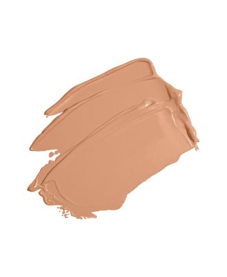 Skin Perfector Tint Moisturizers
