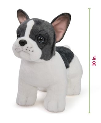 French Bulldog Puppy Dog Plush, Created for Macy's