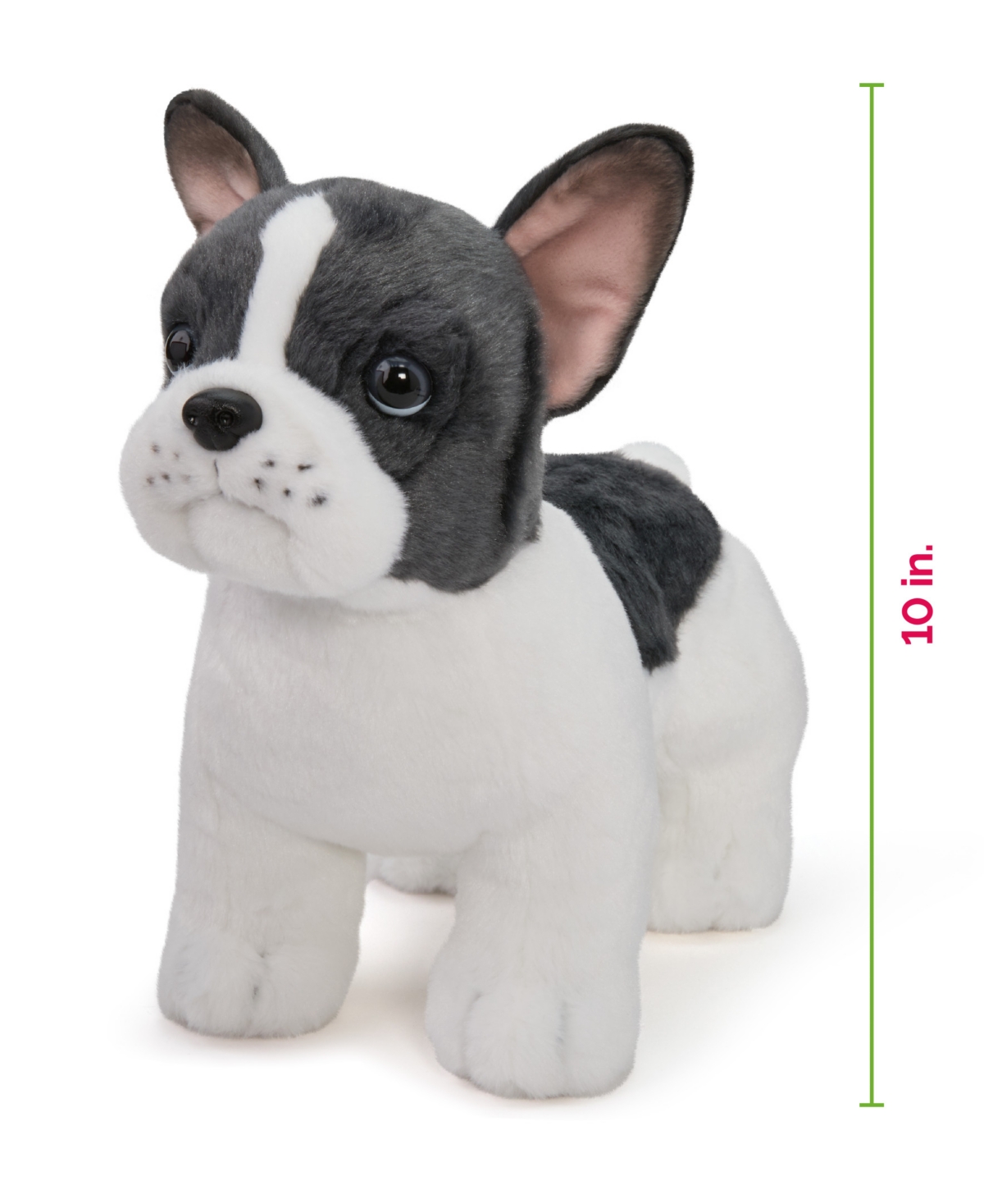 Geoffrey's Toy Box French Bulldog Puppy Dog Plush In No Color