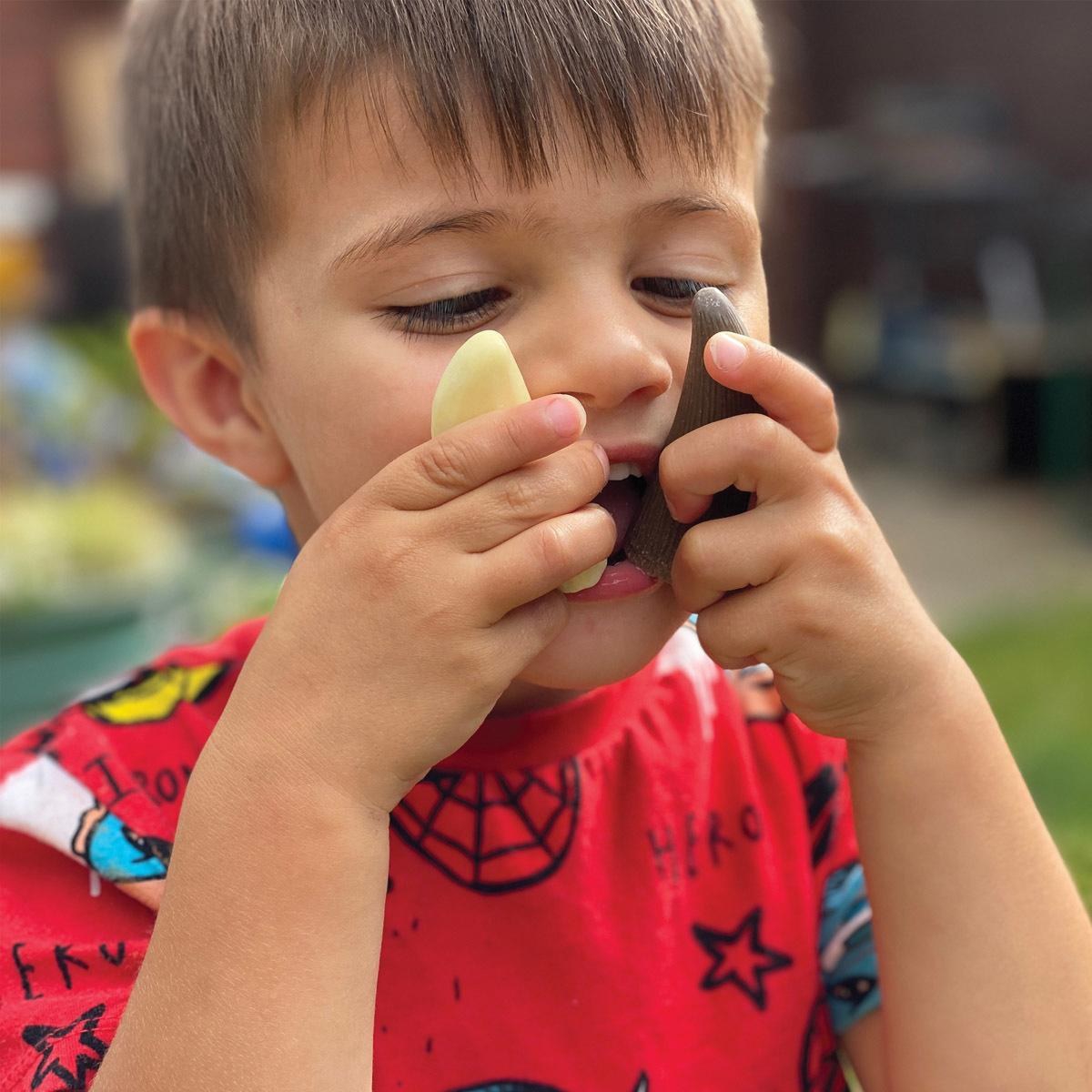 Yellow Door Sensory Play Stones: Prehistoric Teeth - 8 Pieces