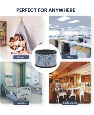 True Hepa Air Filter Replacement - Ibuki, Ibuki +