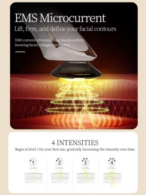 RF 5 In 1 EMS Micro Current LED Light Beauty Device